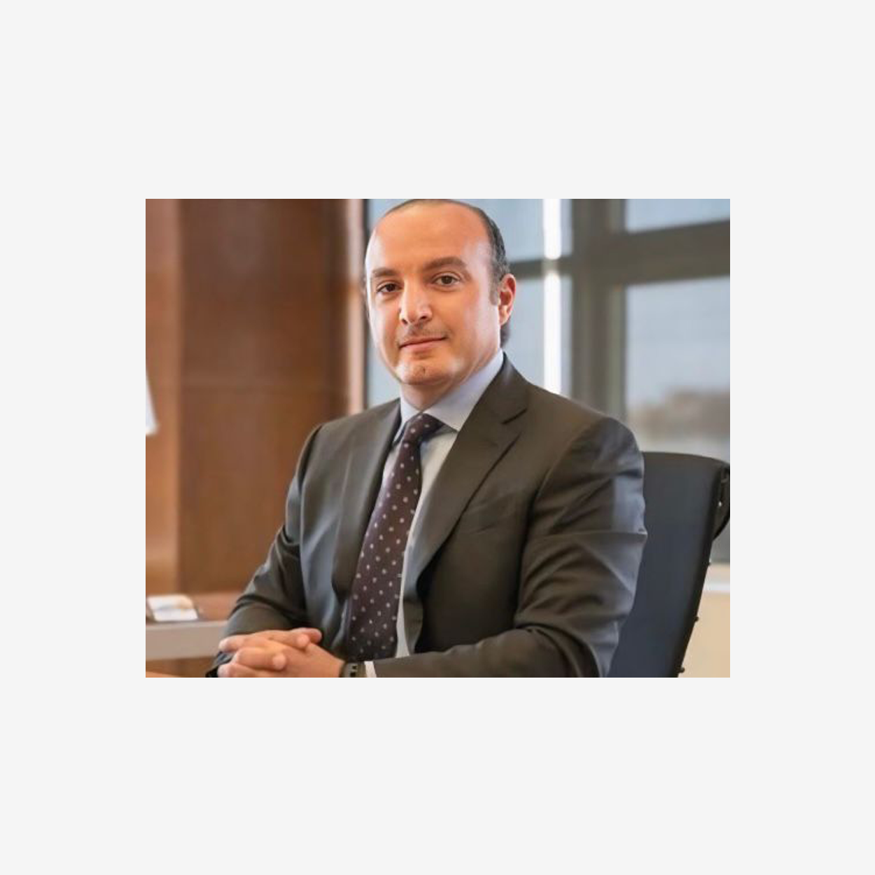 Eng. Hani Nabih Berzi